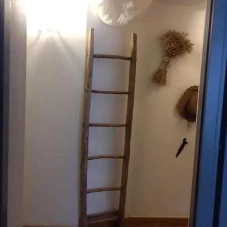 La Pajarella Di Zoer