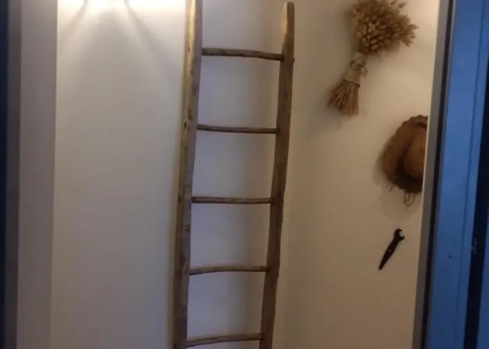 La Pajarella Di Zoer